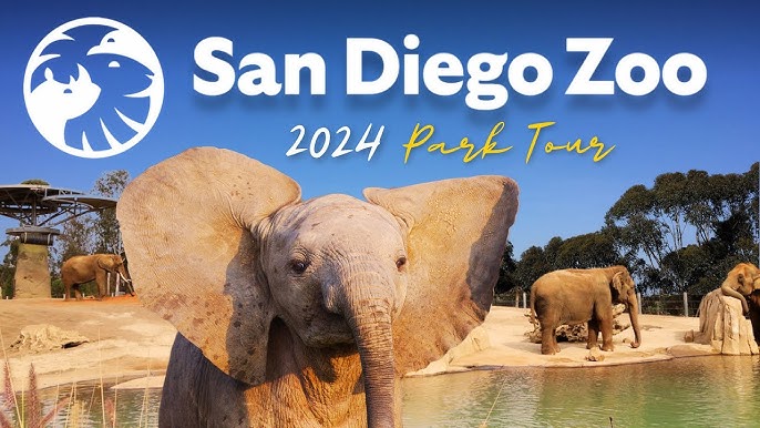 San Diego Zoo